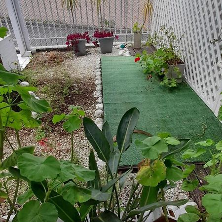 Casa Inteira 2 Dorm Minimo 3 Dias Βίλα Κουριτίμπα Εξωτερικό φωτογραφία